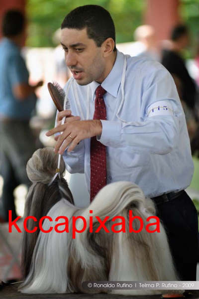 Clique sobre a foto para fechar